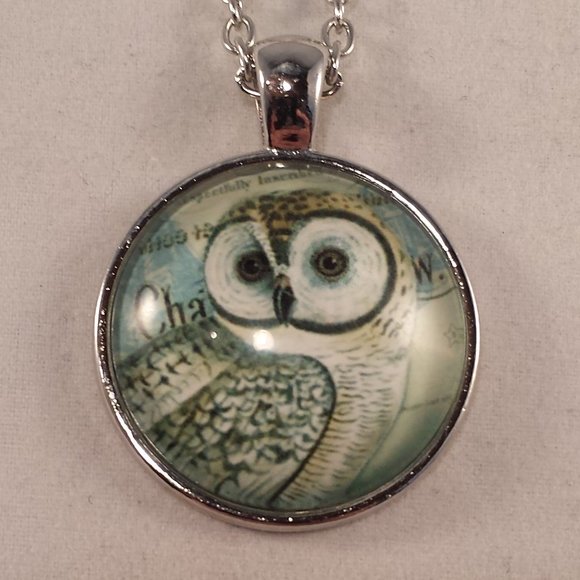 Kristy's Jewels Other - Mens Silver Owl Cabochon Pendant Chain Necklace Party Gift